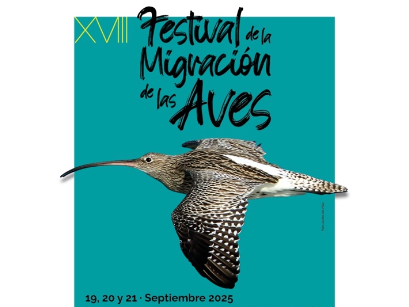 final del verano cantabria migracion aves