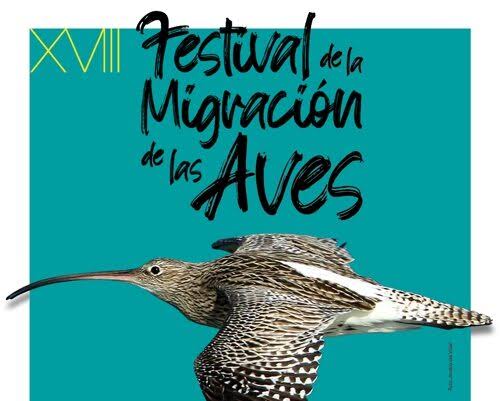 fstival migracion aves santona